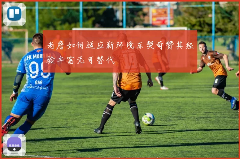 老詹如何适应新环境东契奇赞其经验丰富无可替代