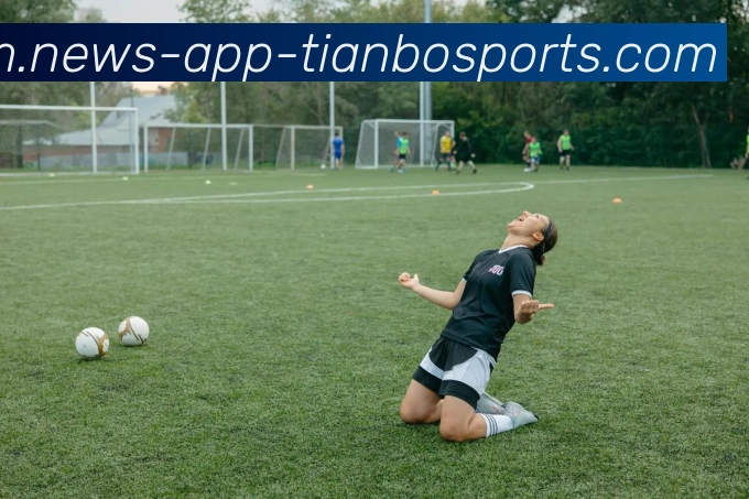 天博体育平台生态图